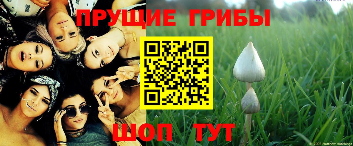 Мыски  Галлюциногенные грибы мухоморы  Галлюциногенные грибы мухоморы  Вход с VPN 
